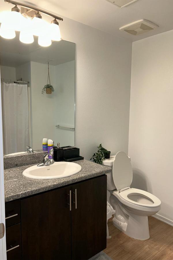 Beautiful Apartment In Hollywood 1Br & 1Bd Los Angeles Eksteriør bilde